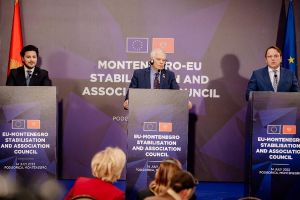 Евросоюз ожидает от Черногории отказа от программ инвестиционного гражданства