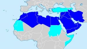 Страны MENA