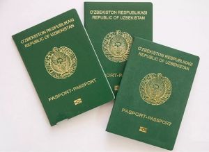 В правительстве Узбекистана подготовили проект поправок к закону о гражданстве страны.