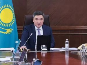 В Казахстане объединяют таможенные и налоговые инфосистемы