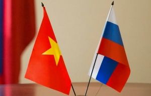 Российские и вьетнамские компании планируют развивать сотрудничество 