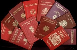 паспорта ЕС